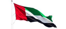 UAE flag